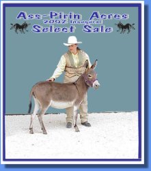 Ass-Pirin Acres Show Baby - High Seller!