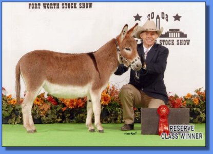 Magnum wins 2nd at the 2008 Fort Worth Stock Show!