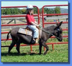 Becca riding Angus!