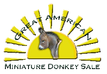 The Great American Miniature Donkey Sale