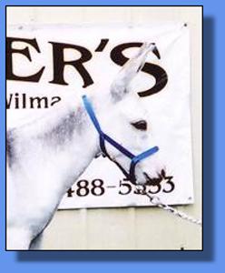 Lot # 29 ~ Gardner's Lorinda Faye