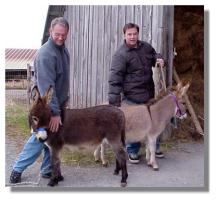 Jacinta & Rufina with their new
owners, Paul & Mark (9869 bytes)